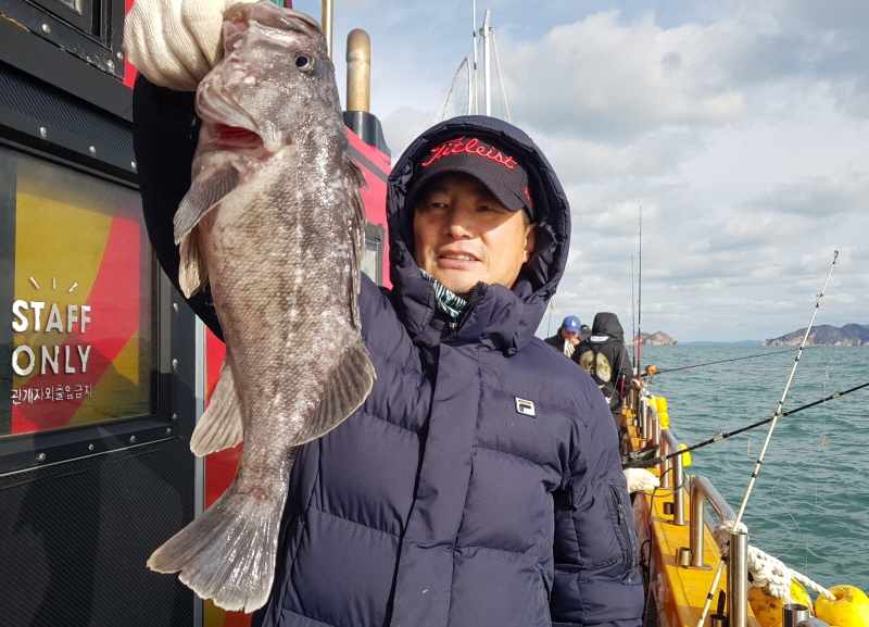 뉴신정호 조황갤러리입니다.