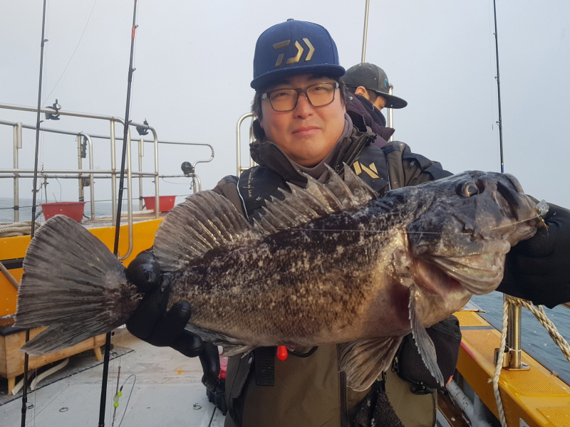 뉴신정호 조황갤러리입니다.