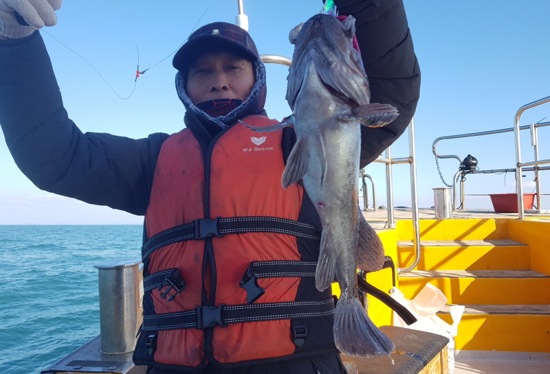 뉴신정호 조황갤러리입니다.