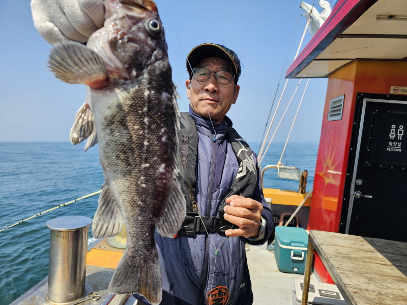 뉴신정호 조황갤러리입니다.