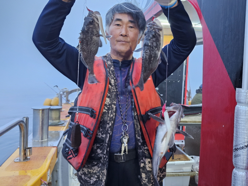 뉴신정호 조황갤러리입니다.