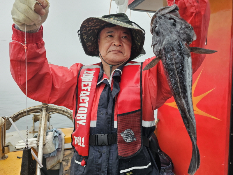 뉴신정호 조황갤러리입니다.