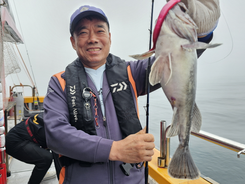 뉴신정호 조황갤러리입니다.
