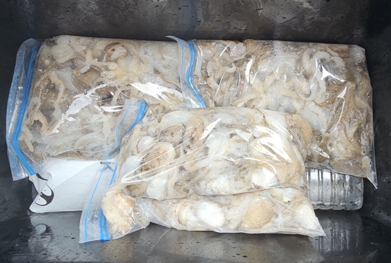 뉴신정호 조황갤러리입니다.