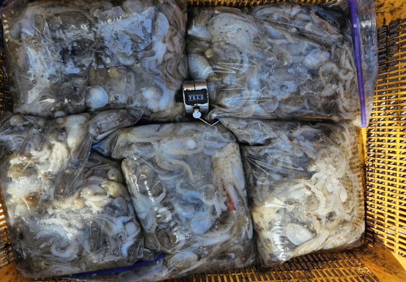 뉴신정호 조황갤러리입니다.