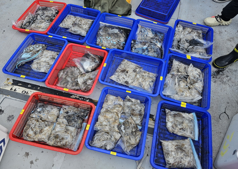 뉴신정호 조황갤러리입니다.