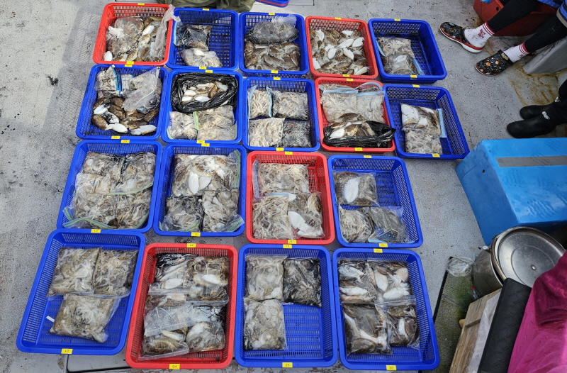 뉴신정호 조황갤러리입니다.