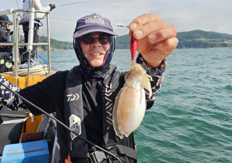 뉴신정호 조황갤러리입니다.