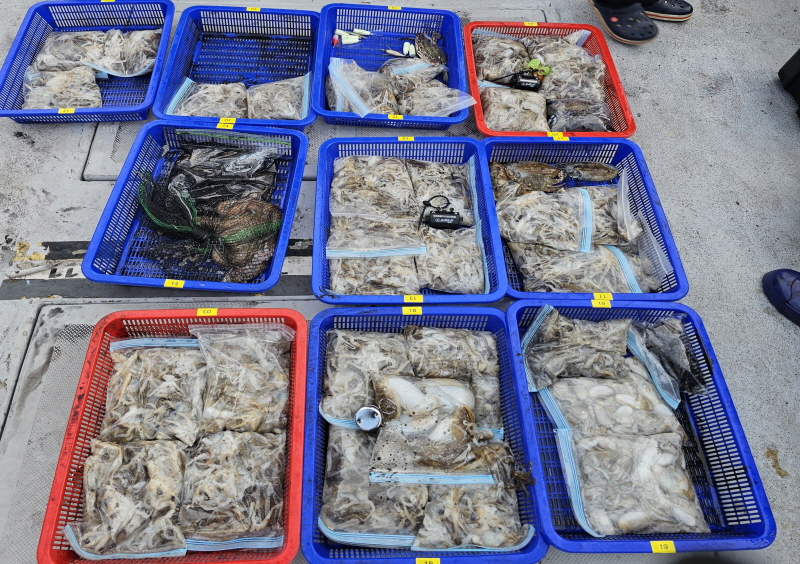 뉴신정호 조황갤러리입니다.