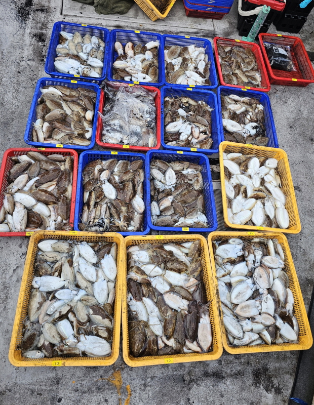 뉴신정호 조황갤러리입니다.