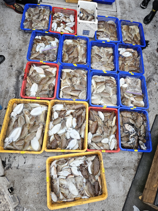 뉴신정호 조황갤러리입니다.