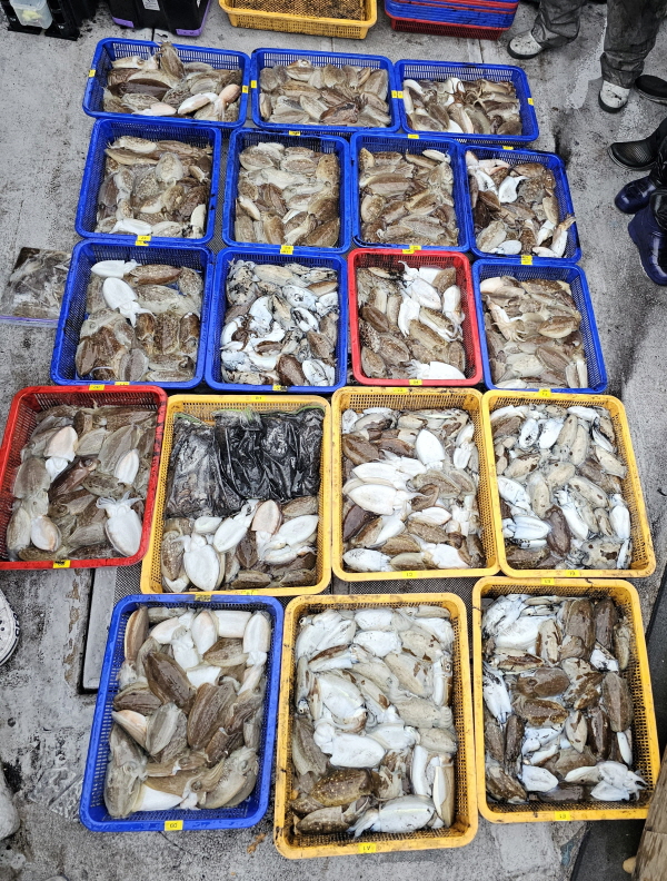 뉴신정호 조황갤러리입니다.