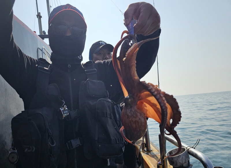 뉴신정호 조황갤러리입니다.