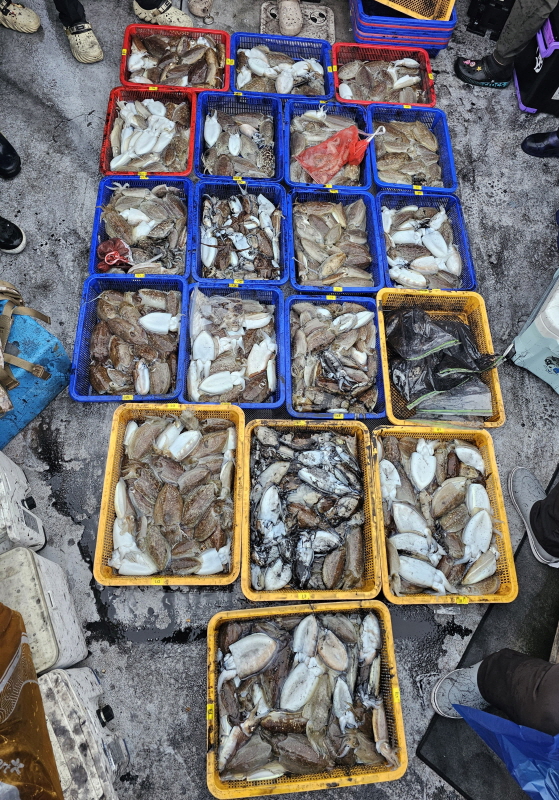 뉴신정호 조황갤러리입니다.