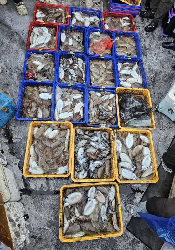 뉴신정호 조황갤러리입니다.