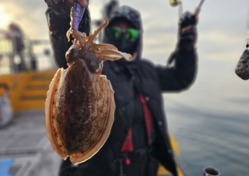 뉴신정호 조황갤러리입니다.