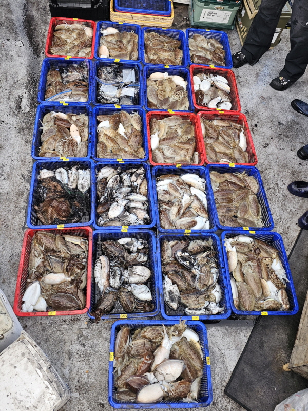 뉴신정호 조황갤러리입니다.