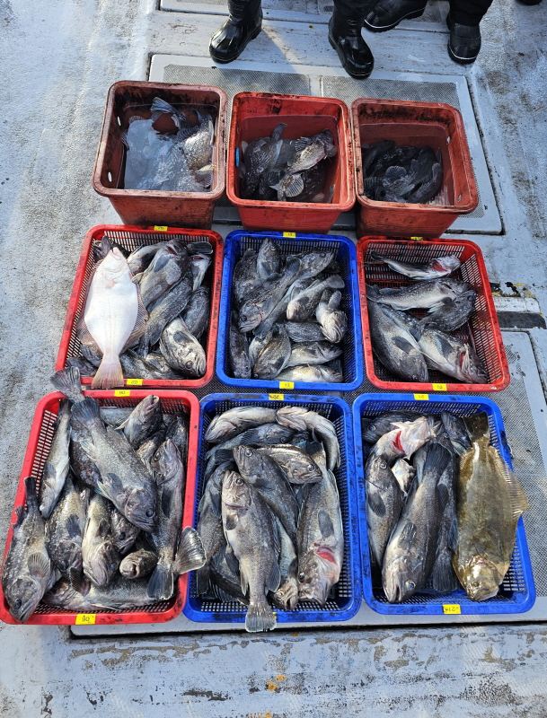 뉴신정호 조황갤러리입니다.