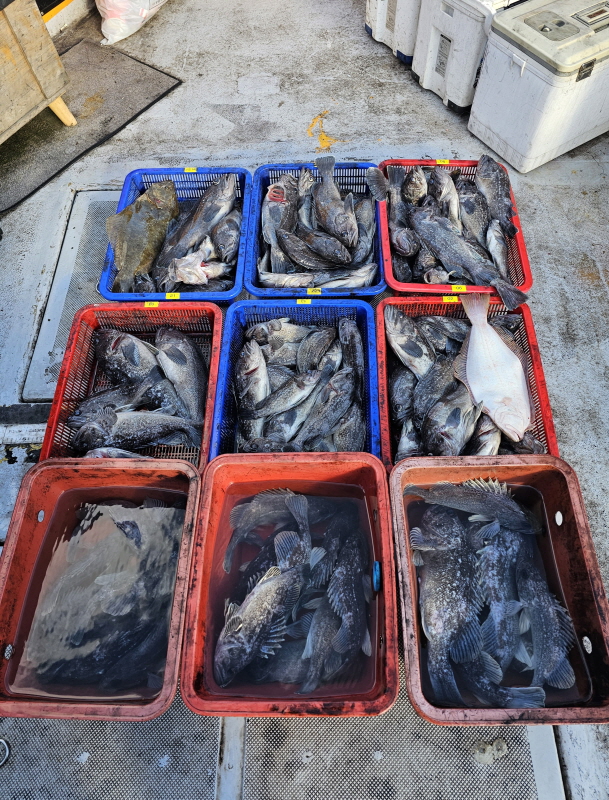 뉴신정호 조황갤러리입니다.