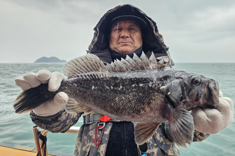 뉴신정호 조황갤러리입니다.