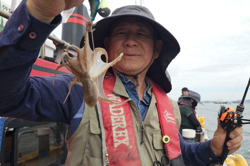 뉴신정호 조황갤러리입니다.