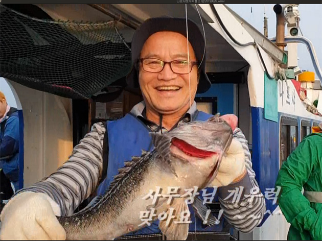 사진
